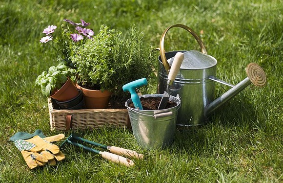 gardening